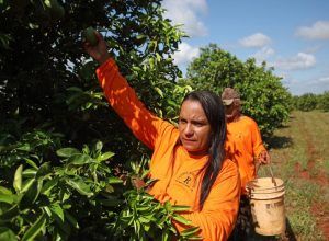 Foto-Alvaro-Rezende-18-730x480_citricultura abre oportunidades e muda a vida de trabalhadores em Mato Grosso do Sul